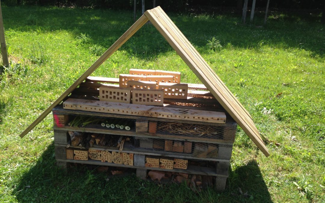 Préservons la biodiversité au lycée !