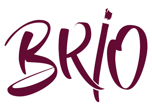 Projet BRIO